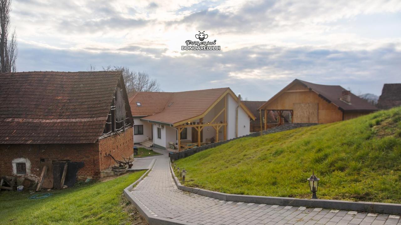 Domeniul Bondarelului Hotel Ocolisu Mic Екстериор снимка