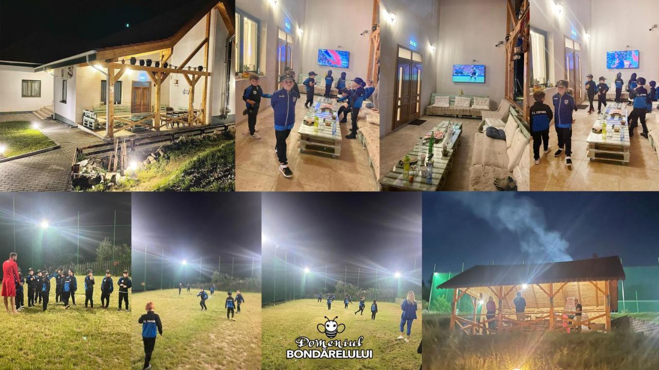 Domeniul Bondarelului Hotel Ocolisu Mic Екстериор снимка