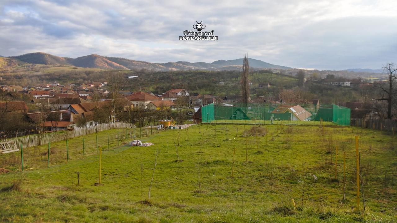 Domeniul Bondarelului Hotel Ocolisu Mic Екстериор снимка