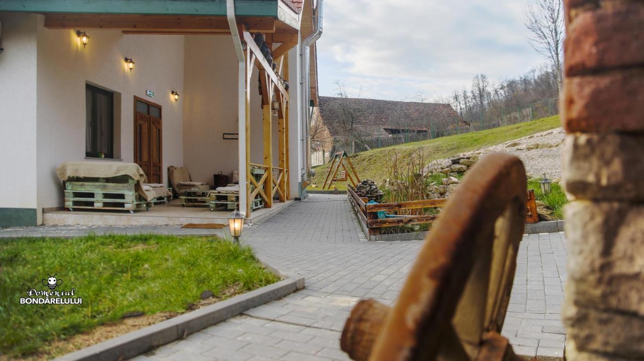 Domeniul Bondarelului Hotel Ocolisu Mic Екстериор снимка