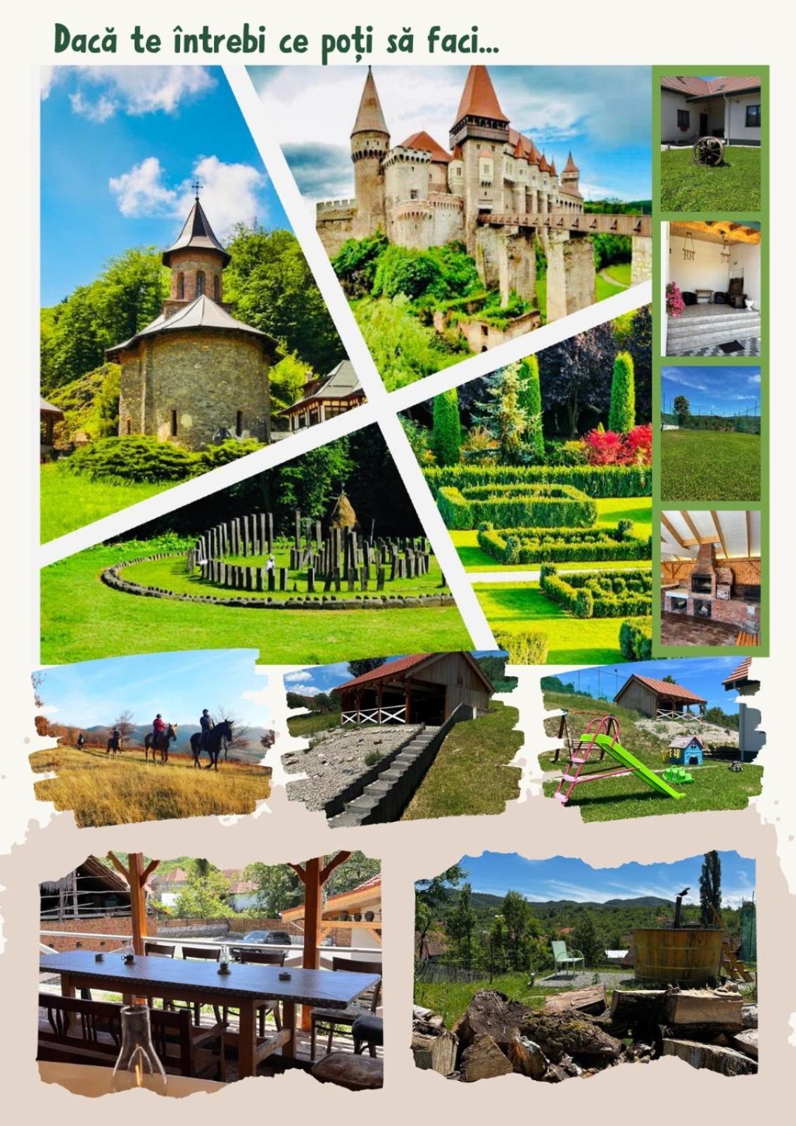 Domeniul Bondarelului Hotel Ocolisu Mic Екстериор снимка