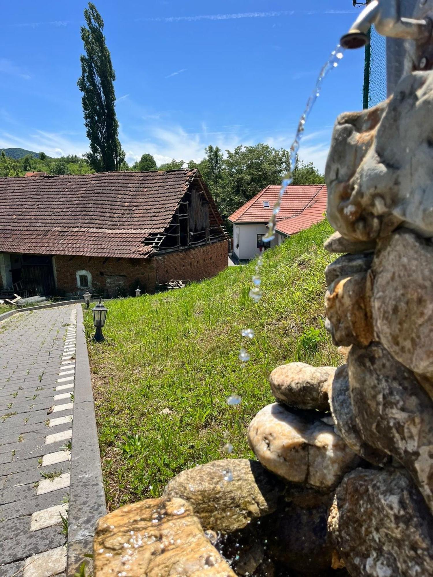 Domeniul Bondarelului Hotel Ocolisu Mic Екстериор снимка